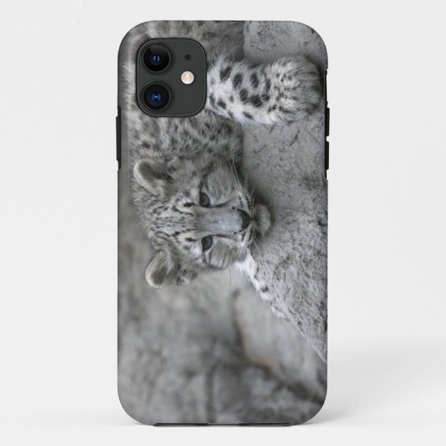 4 month old Snow leopard cub draped over a rock Case-Mate iPhone Case (Back)
