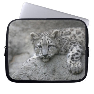 4 month old Snow leopard cub draped over a rock Laptop Sleeve
