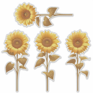 4 Sunflower - retro