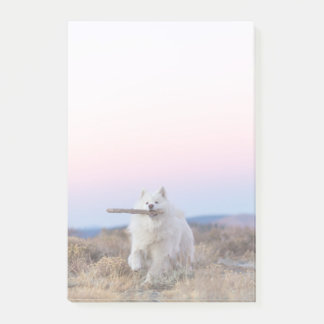 4"x6" Notes - Branch Manager