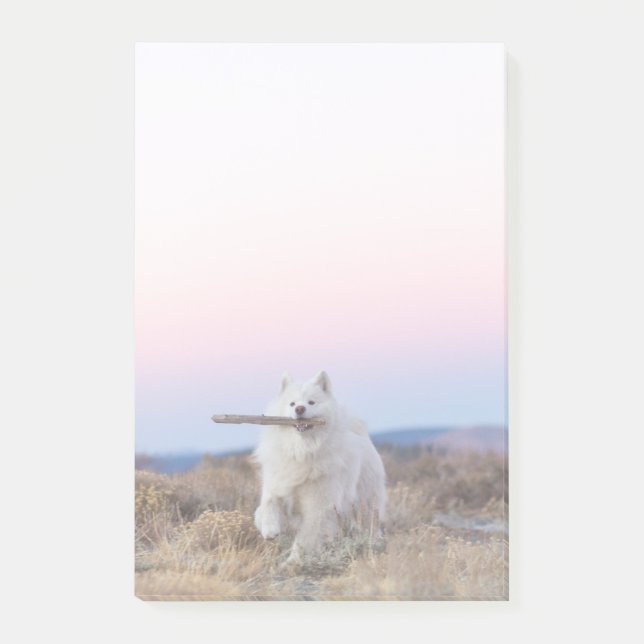 4"x6" Post-it Notes - Branch Manager (Front)