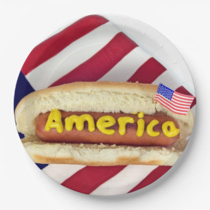 4th Of July BBQ Party Paper Plate