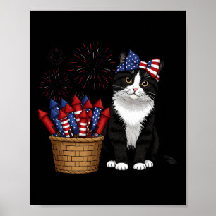 4th Of July Cat And Fireworks Design For Men Women Poster