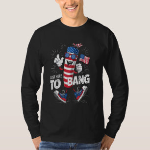 4th of July Fireworks Celebration Just Here To Ban T-Shirt