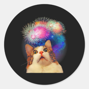4th Of July Fireworks Enthraled Cat Classic Round Sticker