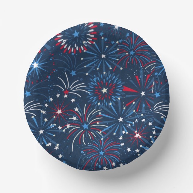 4th of July Fireworks  Paper Plate (Front)
