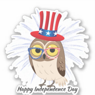 4th Of July owl Independent Day USA Flag Glass