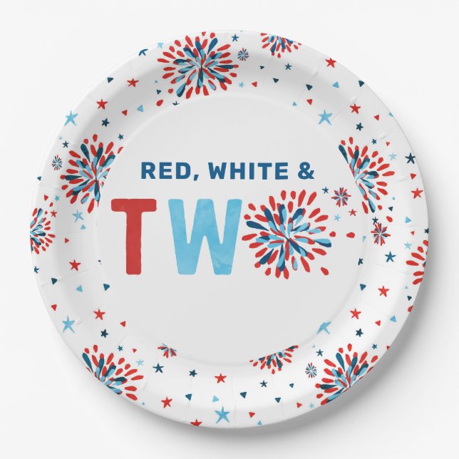 4th of July Second Birthday  Paper Plate (Front)