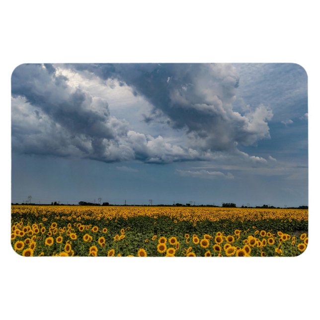 4x6 Flat Magnet (Horizontal)