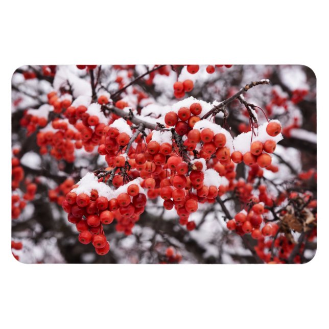 4x6 Flat Magnet (Horizontal)