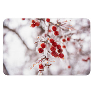 4x6 Flat Magnet