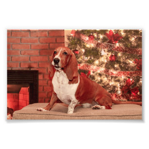 4x6 Hound at Christmas Photo Print