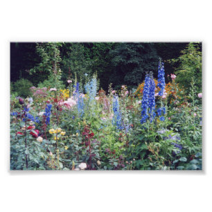 4x6 photo flowers print