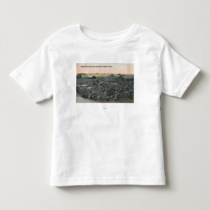 5000 Sheep Ready for ShippingChester, MT Toddler T-Shirt