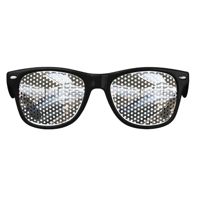 500 Series Shinkansen 新幹線 Bullet Train Kids Sunglasses (Front)