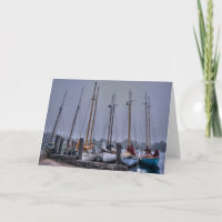 50th Anniversary of the Hubbards Schooner Races