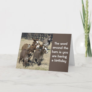 **50th BIRTHDAY HUMOR FROM DONKEYS NO LESS** Card