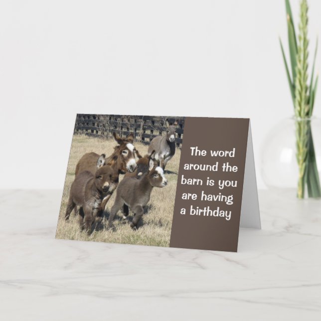 **50th BIRTHDAY HUMOR FROM DONKEYS NO LESS** Card (Front)