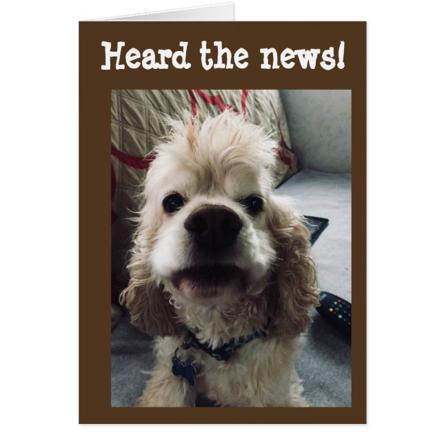 **50th BIRTHDAY** HUMOR FROM PUP (Front)