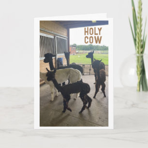 "50th BIRTHDAY??? JUST CAN'T BELIEVE IT Card