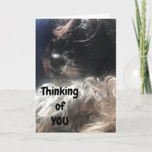 "50th BIRTHDAY" THINKING OF YOU LIKE I ALWAYS DO! Card