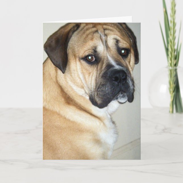 50TH-BUT STILL THE TOP DOG CARD (Front)