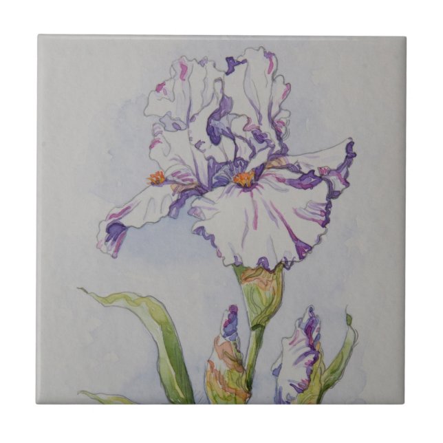 5340 Purple Stripe Iris Tile (Front)