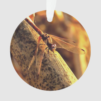 534424932Elegant Red Darter Dragonfly Insect Art Ornament