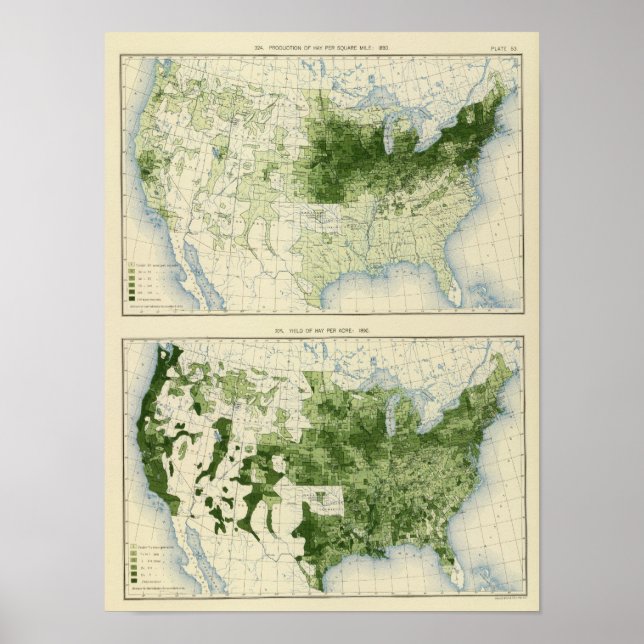 53 Hay 1890 Poster (Front)