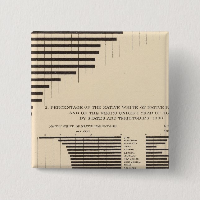 53 Negro population by states Native white 15 Cm Square Badge (Front)