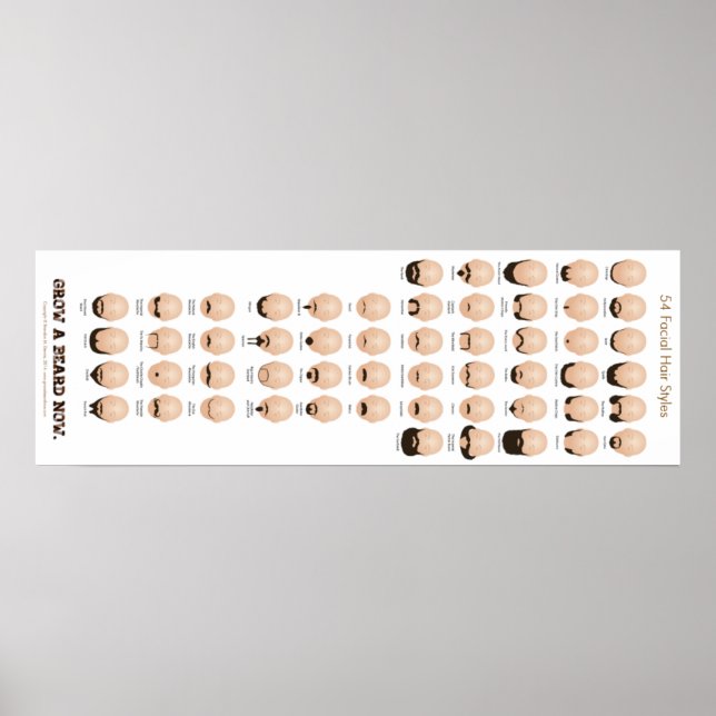 54 Facial Hair Styles Poster (Front)