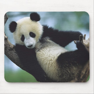 557711600wb1fp3 mouse pad