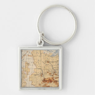55 Density Negro population Key Ring