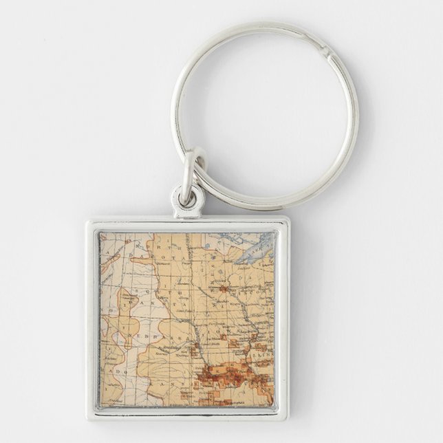 55 Density Negro population Key Ring (Front)