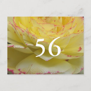 56th Birthday Postcard