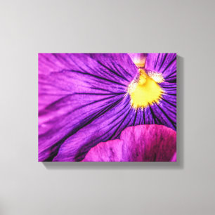 5884-Purple Pansy Canvas Print