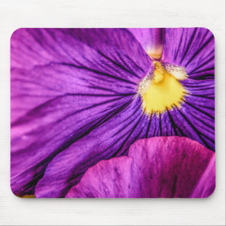 5884-Purple Pansy Mouse Pad