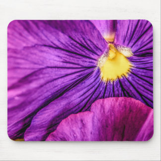 5884-Purple Pansy Mouse Pad
