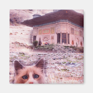 5.1 Cm Square Magnet Cat