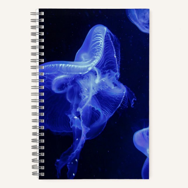 5.5" x 8.5" Spiral Noteboook Notebook (Front)