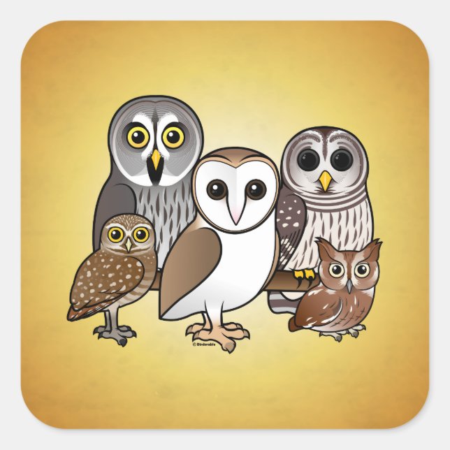 5 Birdorable Owls Square Sticker (Front)