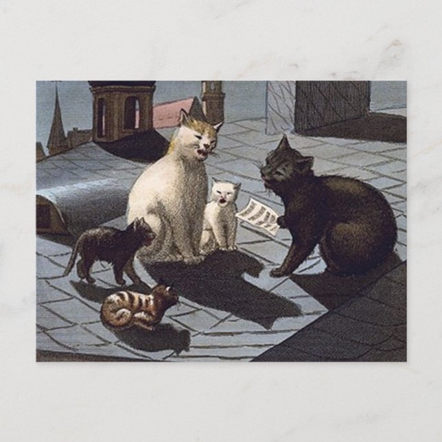 5 Cats with music sheet singing on a roof at night Postcard (Front)