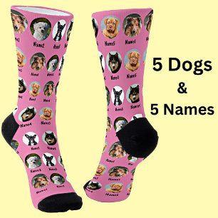 5 Dogs, 5 Names, Dog Photo - Personalised Pink Socks