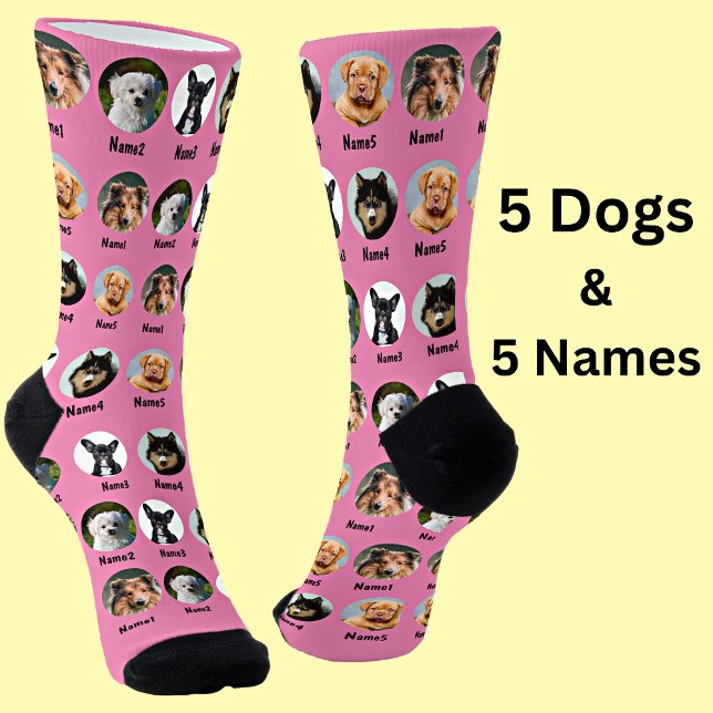 5 Dogs, 5 Names, Dog Photo - Personalised Pink Socks (Creator Uploaded)