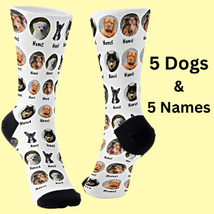 5 Dogs, 5 Names, Dog Photo - Personalised White  Socks