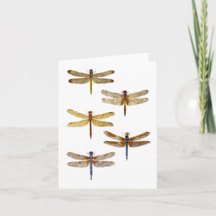 5 Dragonflies Card