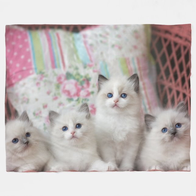 5 KITTENS FLEECE BLANKET (Front (Horizontal))