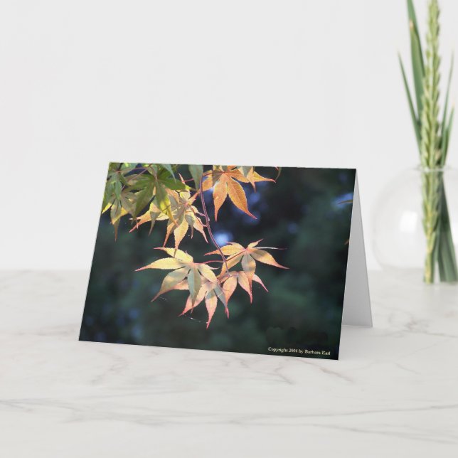 5 Maple Card (Front)