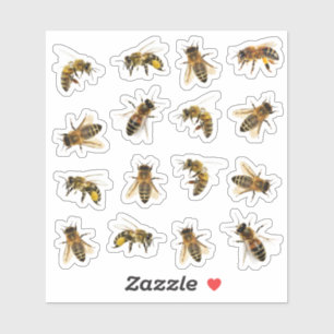 5 Realistic Honeybees on 16 Vinyl Stickers 