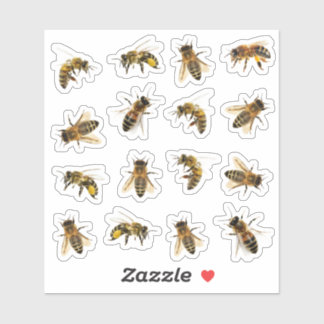 5 Realistic Honeybees on 16 Vinyl Stickers